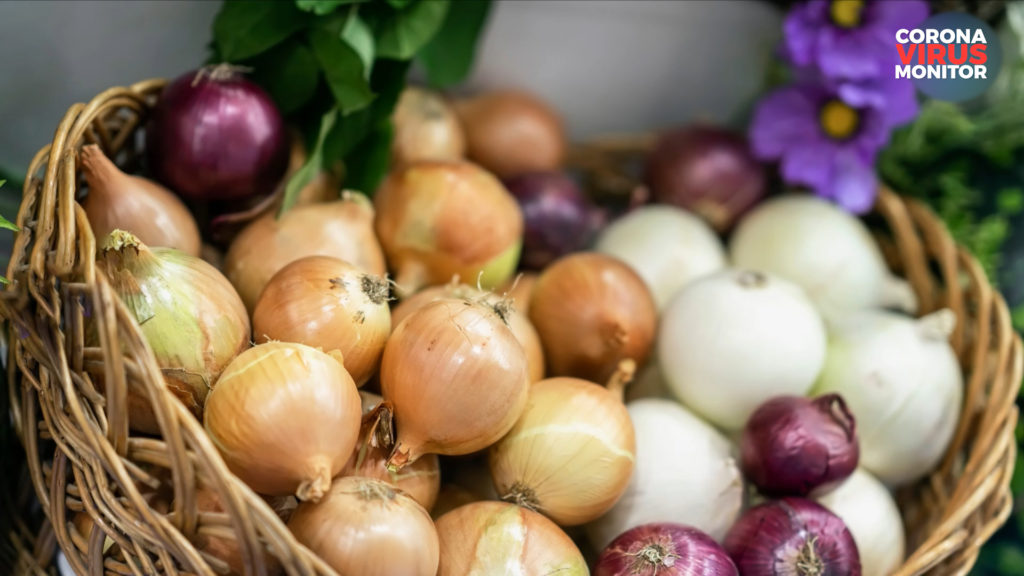 DIY Household Hacks: Onion Absorber