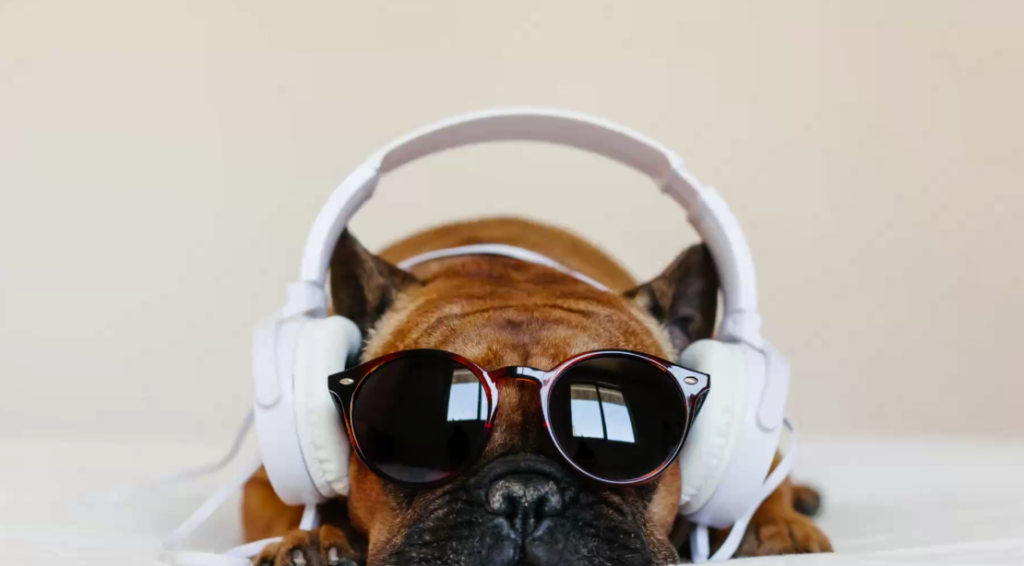 DIY Household Hacks: Earphone Keeper